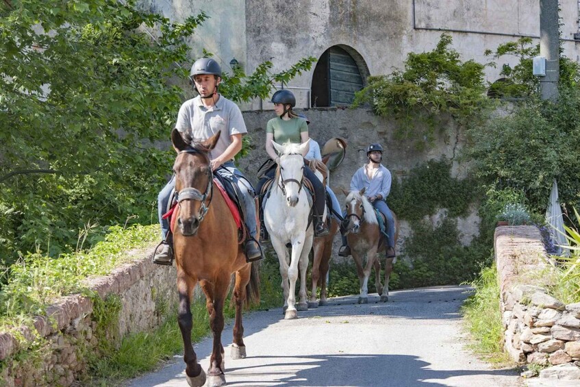A group of people riding horses on a narrow road flanked by stone walls and greenery. 4