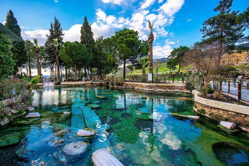 A clear pool with rocks, surrounded by trees and a stone wall. 3