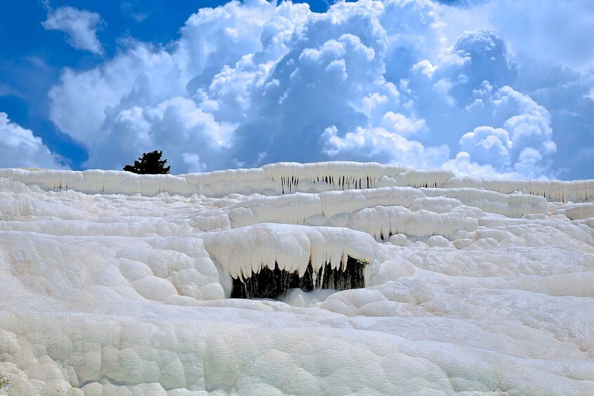 Terraced travertine formations with a clear sky and a single tree. 4