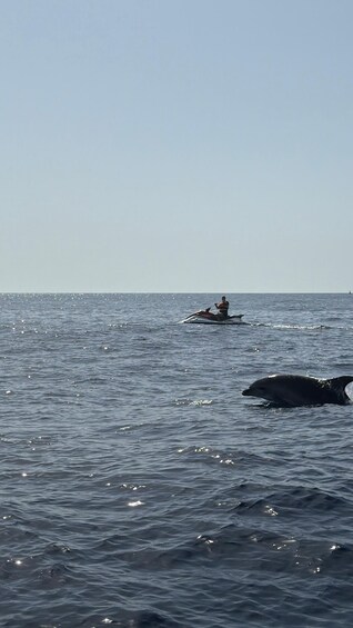 A person on a jet ski in the ocean with a whale in the foreground. 5