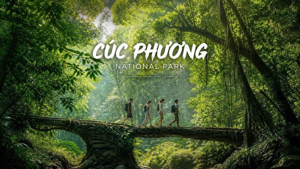 Ninh Binh: Cuc Phuong Jungle Trek, Wildlife & Ancient Caves 2