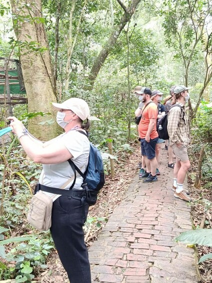 A group of hikers on a brick path surrounded by dense greenery. 1