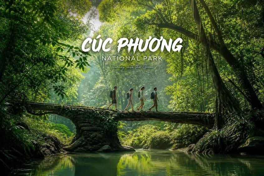 Ninh Binh: Cuc Phuong Jungle Trek, Wildlife & Ancient Caves 1
