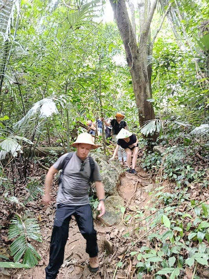 People hiking through a forest with dense foliage and a steep, rocky trail. 3