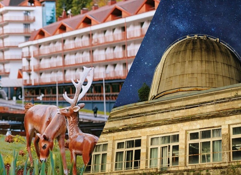 A building with a dome and a row of windows, a statue of a deer, and a building with balconies. 1