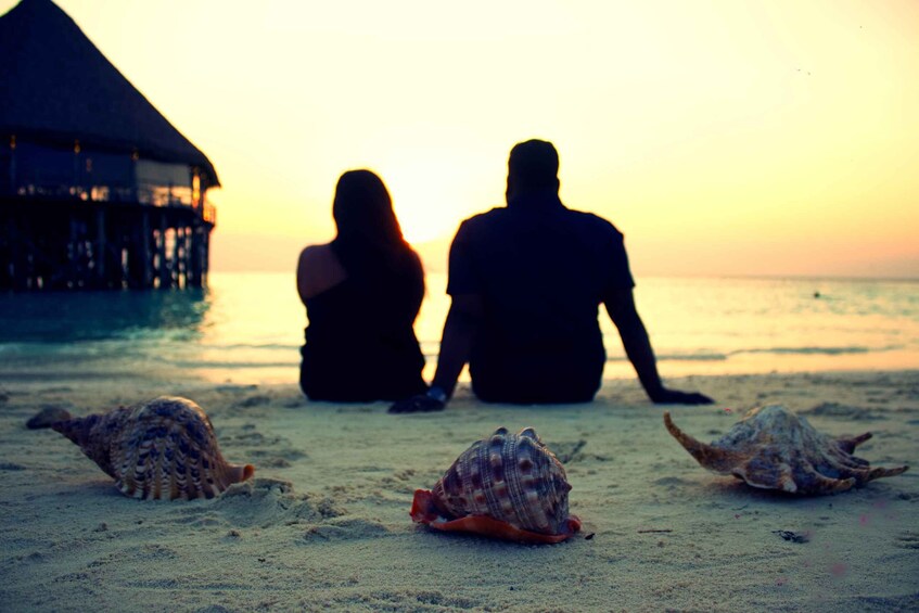 Two people sitting on a beach with shells and a thatched-roof structure in the background. 3