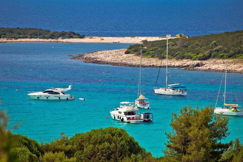 A coastal marina with several sailboats and yachts anchored in turquoise waters. 5