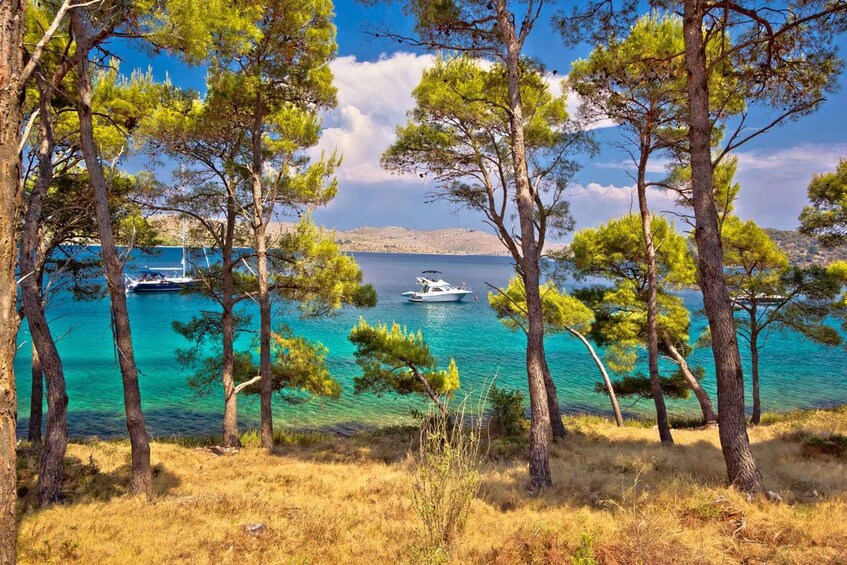 A coastal landscape with clear turquoise waters, boats, and pine trees. 1