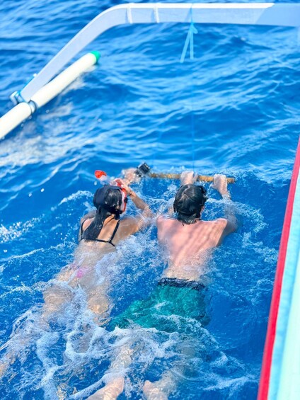 Picture 1 for Activity Bali:Lovina Dolphin Watching, Swim & Snorkeling Tour 2