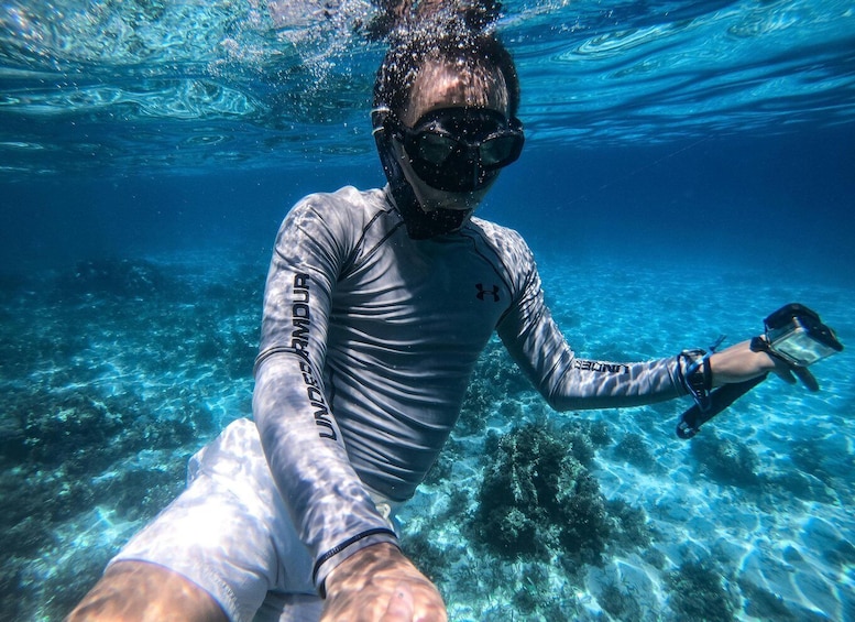A person scuba diving underwater with a clear view of the ocean floor. 4