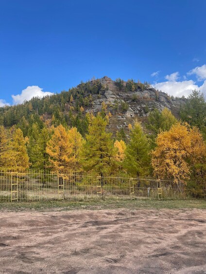 A rocky mountain with autumn foliage and a clear blue sky. 3