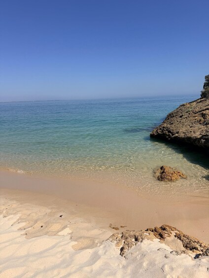 Picture 27 for Activity Setubal: Private Wellness, Nature Walk & Premium Wine Tour 4