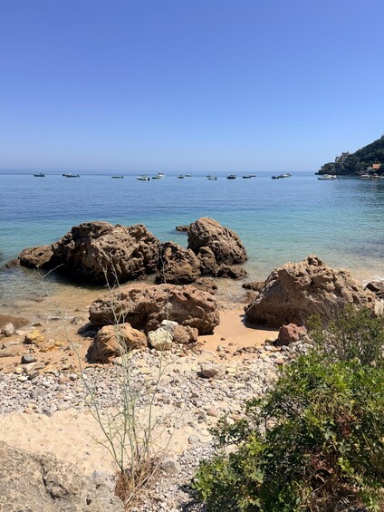 Picture 26 for Activity Setubal: Private Wellness, Nature Walk & Premium Wine Tour 3