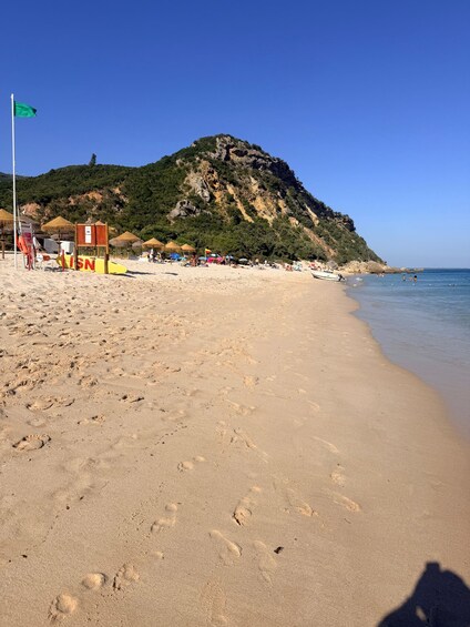 Picture 29 for Activity Setubal: Private Wellness, Nature Walk & Premium Wine Tour 5