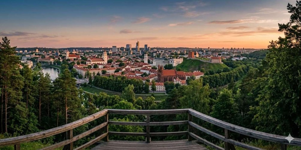 A panoramic view of a city with a river, a prominent castle, and a dense forested area. 5