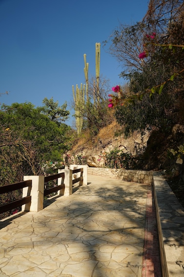 A stone pathway with wooden railings, surrounded by cacti and flowering plants under a clear blue sky. 5