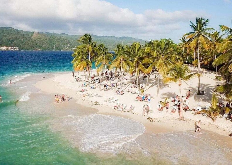 A beach with palm trees, clear blue water, and people sunbathing. 1