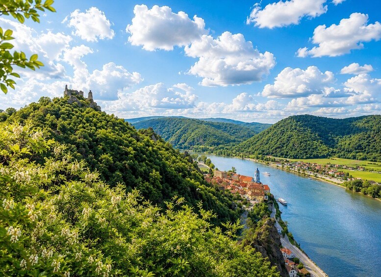 A river valley with a town, a castle on a hill, and lush greenery. 1