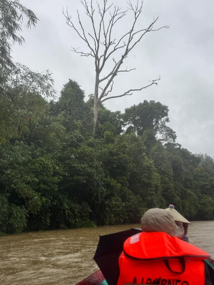 A person in a boat wearing a life jacket and a hat, navigating through a river surrounded by dense forest. 5