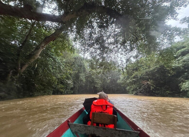 A riverboat journey through a dense forest with a person wearing a life jacket. 1