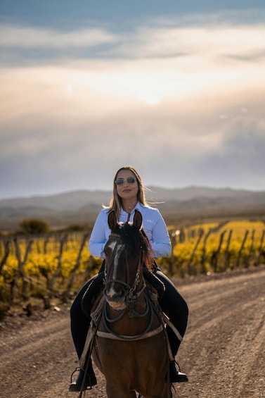 A person riding a horse on a dirt path with a vineyard and hills in the background. 1