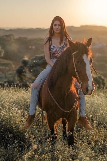 A person riding a horse in a field with a sunset in the background. 3