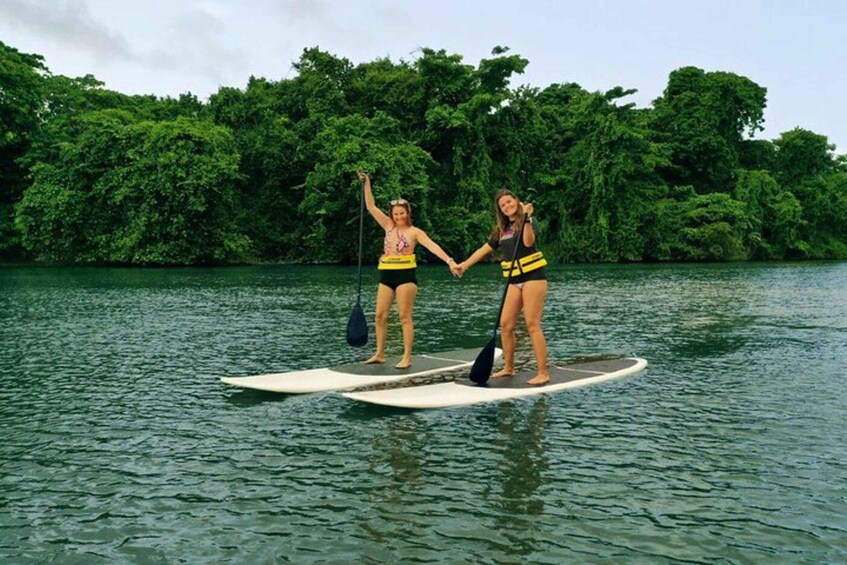 Two people paddleboarding on a calm body of water with dense green foliage in the background. 3