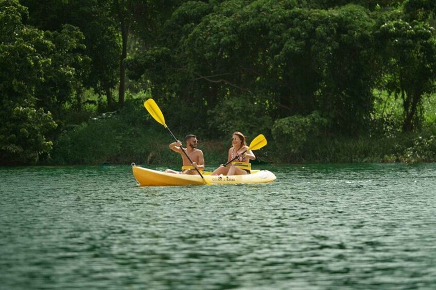 Two people kayaking on a calm river surrounded by dense greenery. 5