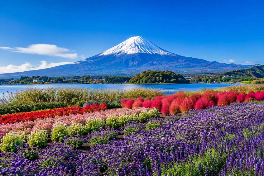 Picture 3 for Activity From Tokyo: Mt. Fuji & Lake Kawaguchi Shared Day Tour 2