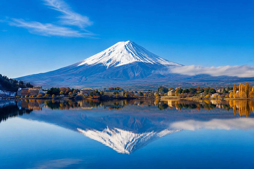 From Tokyo: Mt. Fuji & Lake Kawaguchi Shared Day Tour 1