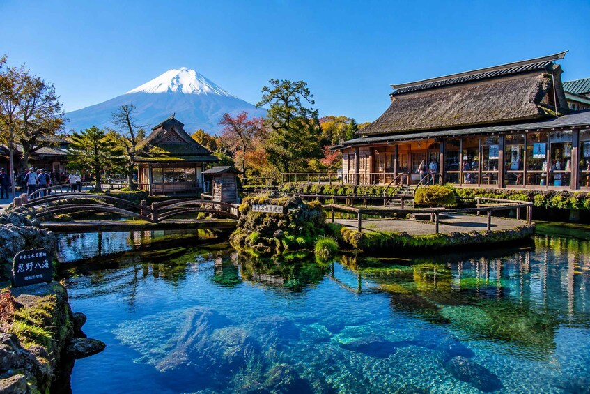 Picture 1 for Activity From Tokyo: Mt. Fuji & Lake Kawaguchi Shared Day Tour 3