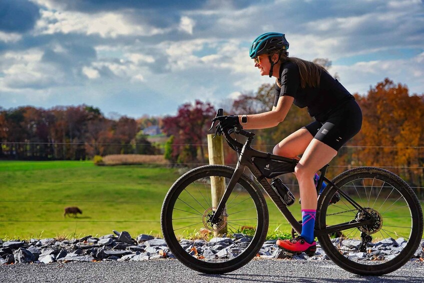 A cyclist on a road with a rural landscape in the background. 1