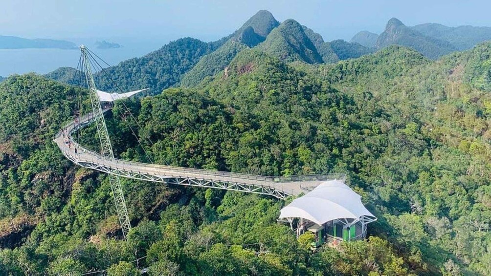 A suspension bridge in a forested mountainous area with a viewing platform and a large white canopy structure. 1