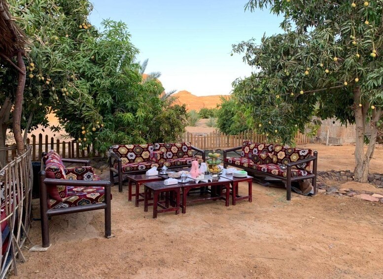 An outdoor seating area with patterned sofas and tables, surrounded by trees bearing fruit. 5