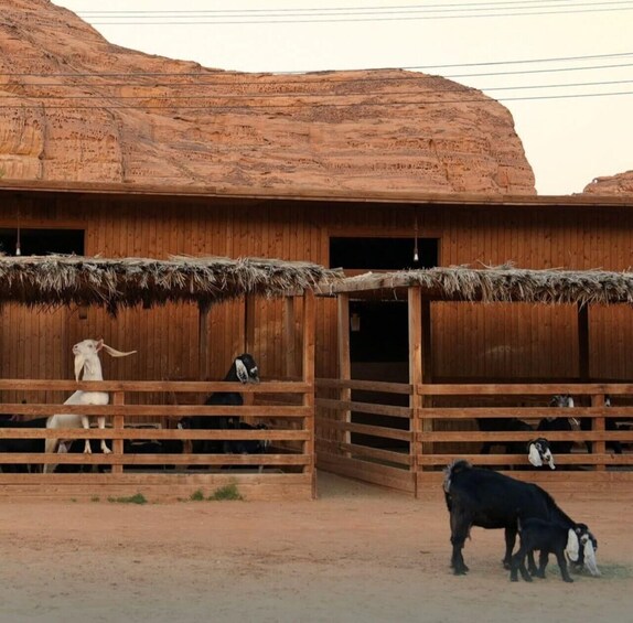 A wooden barn with a thatched roof, surrounded by a fenced area with goats and a horse. 3