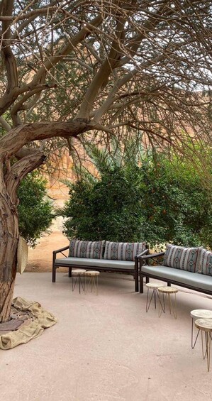 A tree-lined outdoor seating area with a sofa and two small round tables. 2