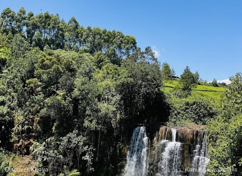 A waterfall in a forested area with lush greenery and a clear sky. 1