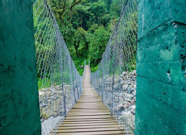 A suspension bridge with a wooden walkway, surrounded by lush greenery and supported by stone pillars. 3