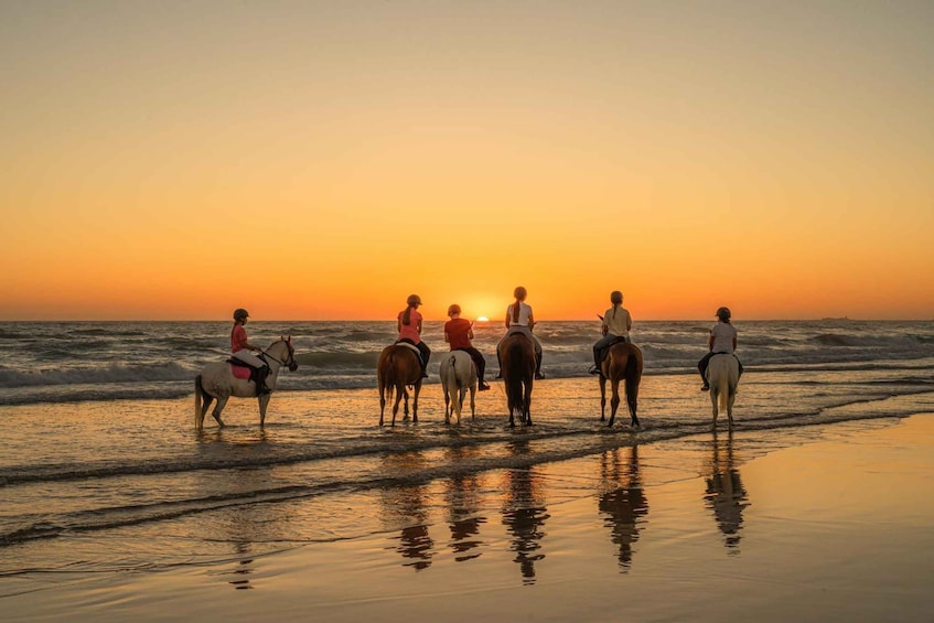 St. Simons Island: Coastal Beach Horseback Ride 1