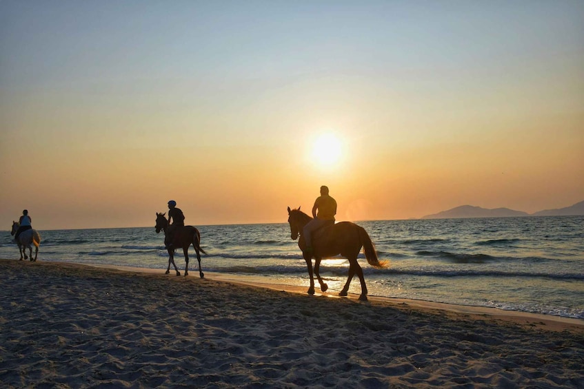 Picture 3 for Activity St. Simons Island: Coastal Beach Horseback Ride 3