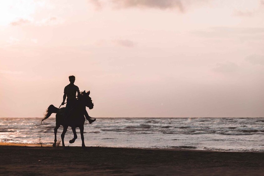 Picture 1 for Activity St. Simons Island: Coastal Beach Horseback Ride 5
