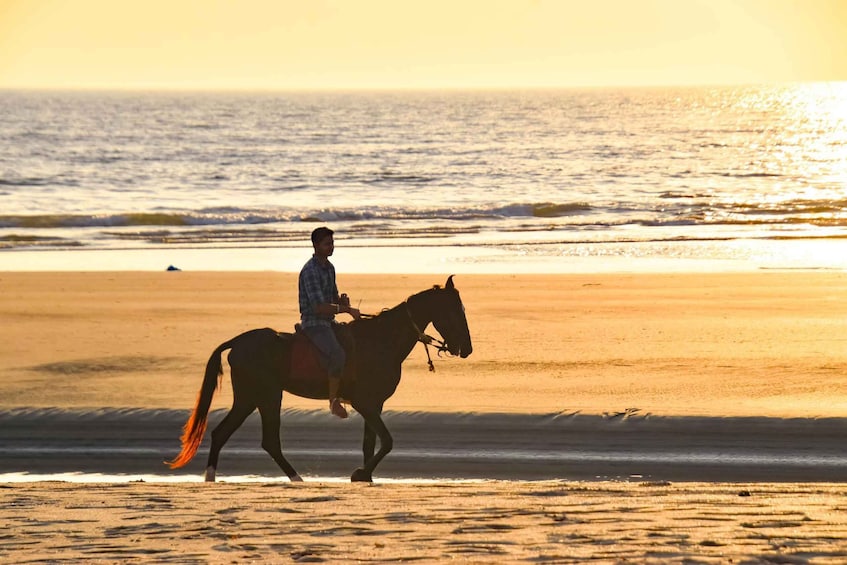 Picture 5 for Activity St. Simons Island: Coastal Beach Horseback Ride 2