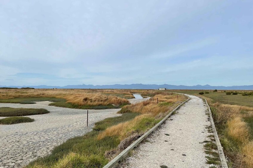 A gravel path curving through a grassy landscape with a stream and distant mountains. 5