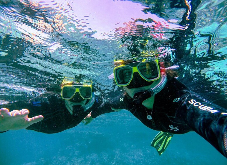 Two people scuba diving underwater. 1