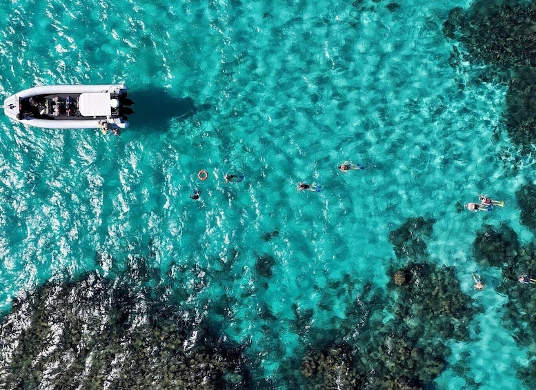 Picture 3 for Activity Coral Bay: Ningaloo Reef Snorkelling Tour 2
