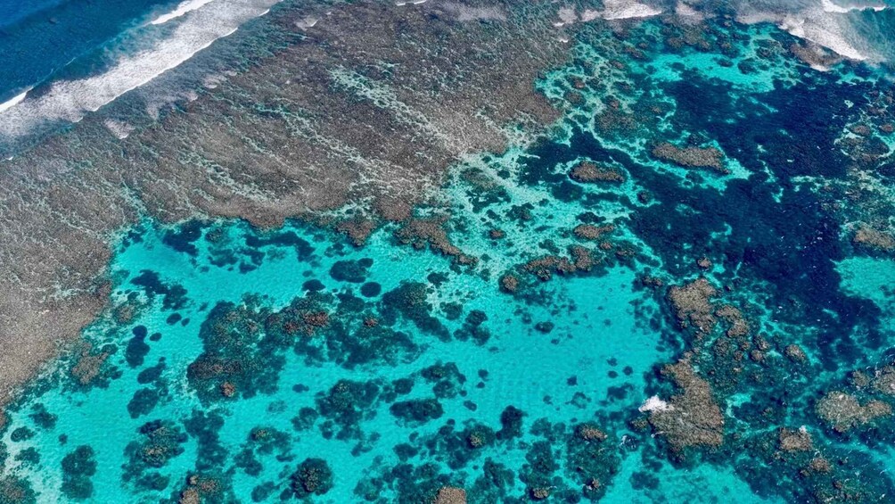 Picture 4 for Activity Coral Bay: Ningaloo Reef Snorkelling Tour 3