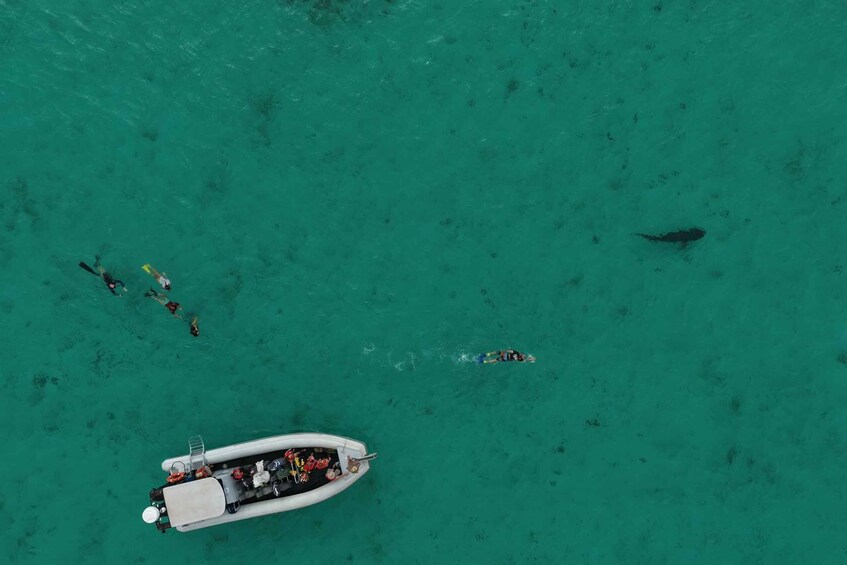 An aerial view of a boat with divers in the water. 4