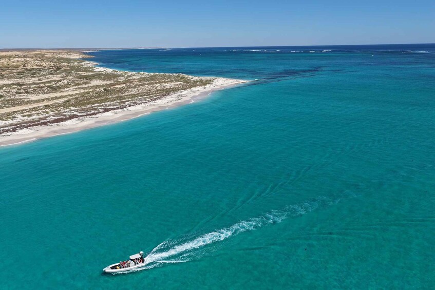 A boat creating a wake in turquoise waters near a sandy beach with sparse vegetation. 2
