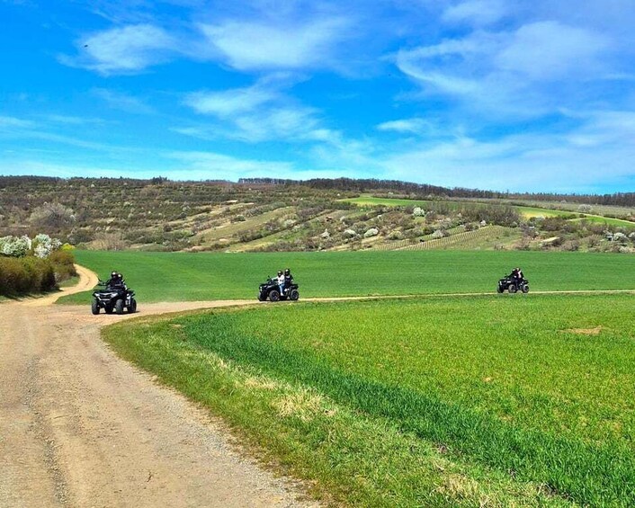 A dirt road with three off-road vehicles in a rural landscape. 5