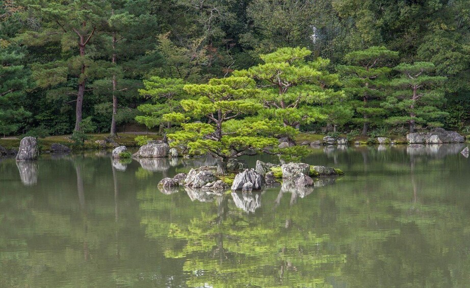 A serene pond with a single tree surrounded by rocks. 4
